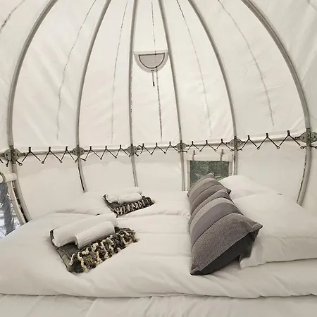 Norglamp Glamping * Hjelmeland